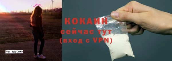 эйфоретик Арсеньев